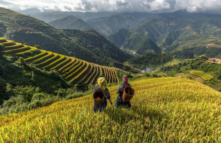 sapa que ver en vietnam